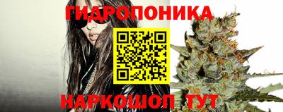 apvp Гай