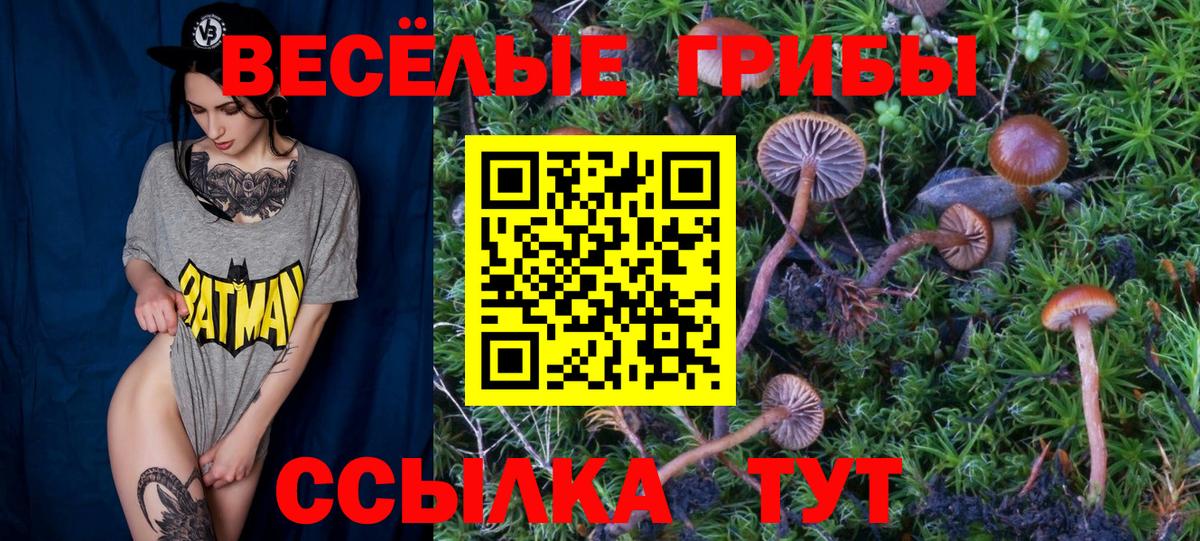 Псилоцибиновые грибы прущие грибы Кизилюрт