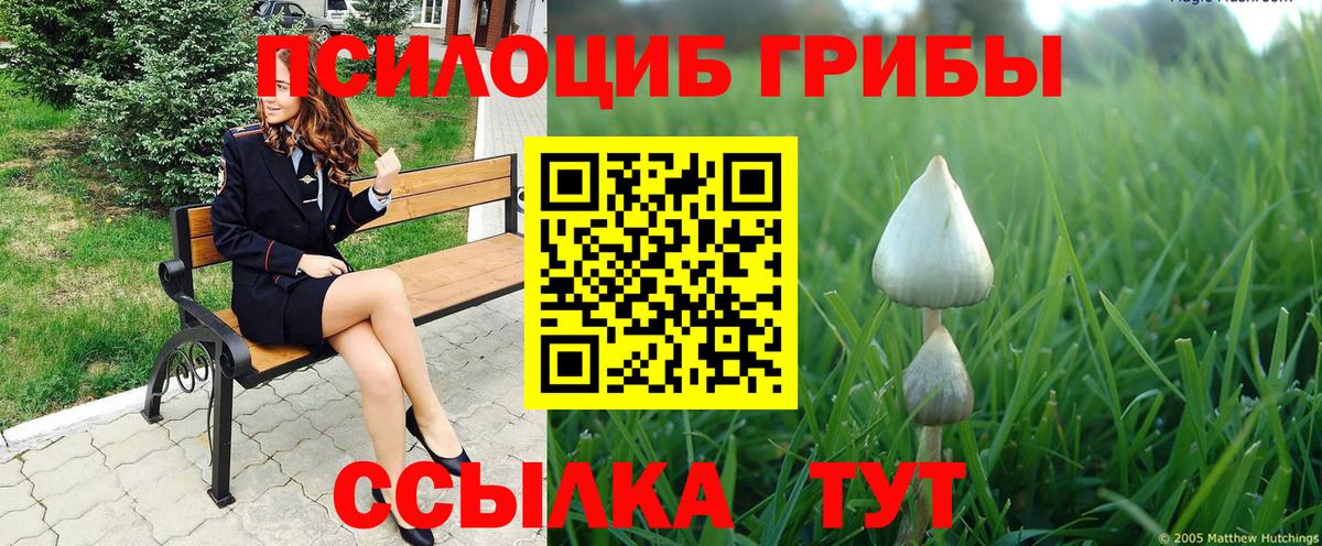 Галлюциногенные грибы Psilocybine cubensis  Вход с VPN  Псилоцибиновые грибы MAGIC MUSHROOMS  Кизилюрт 